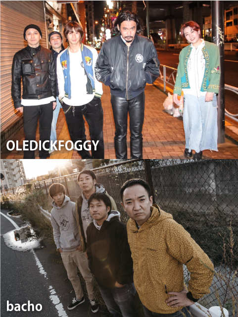 OLEDICKFOGGY x bacho / 2 MAN TOUR 2022